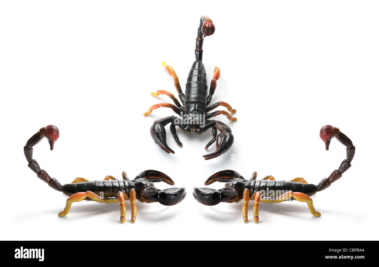 Gli scorpioni in plastica Foto Stock