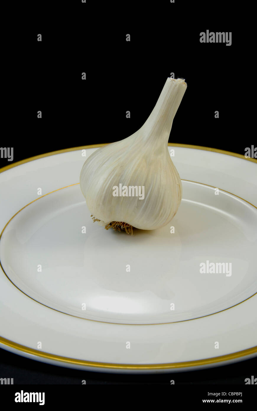 Una lampadina della porcellana hardneck aglio (varietà musicale) su un oro-piastra bordata con sfondo nero. Foto Stock