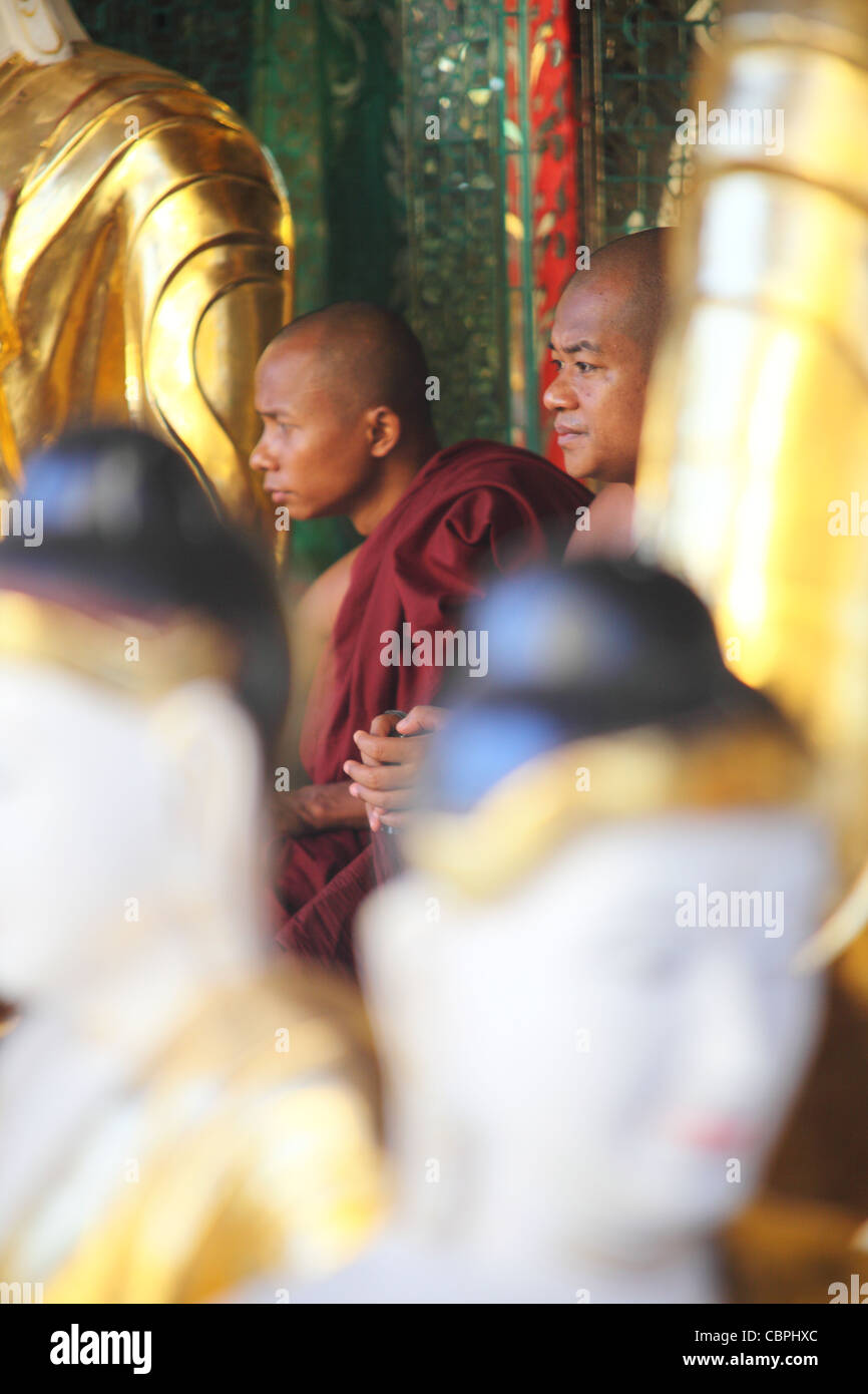 Yangoon, Myanmar. Shwe Dagon Pagoda Foto Stock