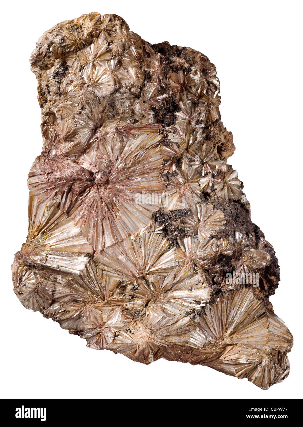 Pirofillite dalla miniera Ward, Glendon, Moore County, Carolina del Nord Foto Stock