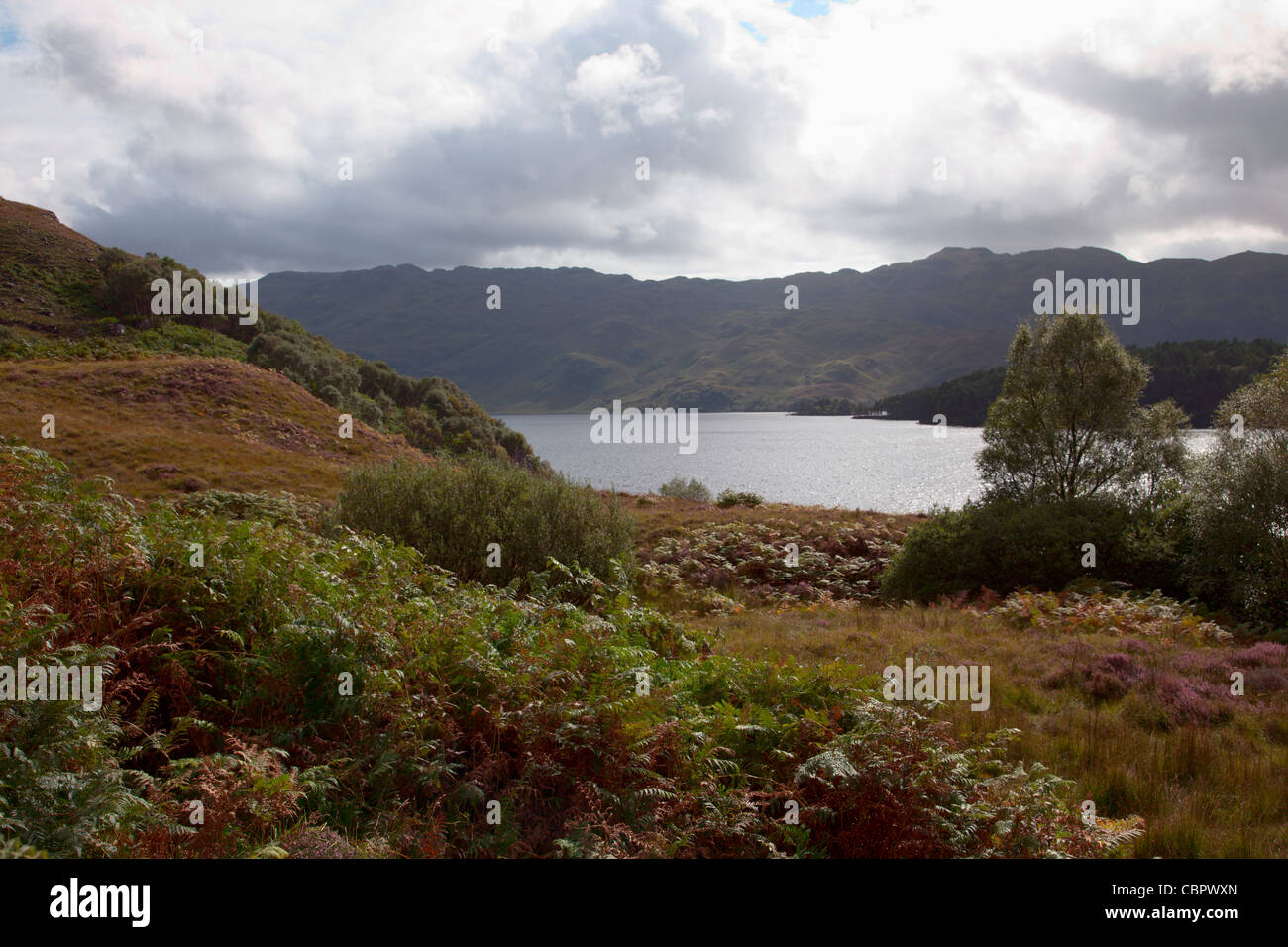 Loch Morar Highland Regione Scozia Scotland Foto Stock