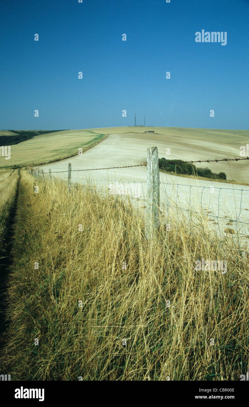 Una vista attraverso il South Downs verso il tv & radio trasmettitori sulla collina beddingham (nr firle), East Sussex, Inghilterra. Foto Stock