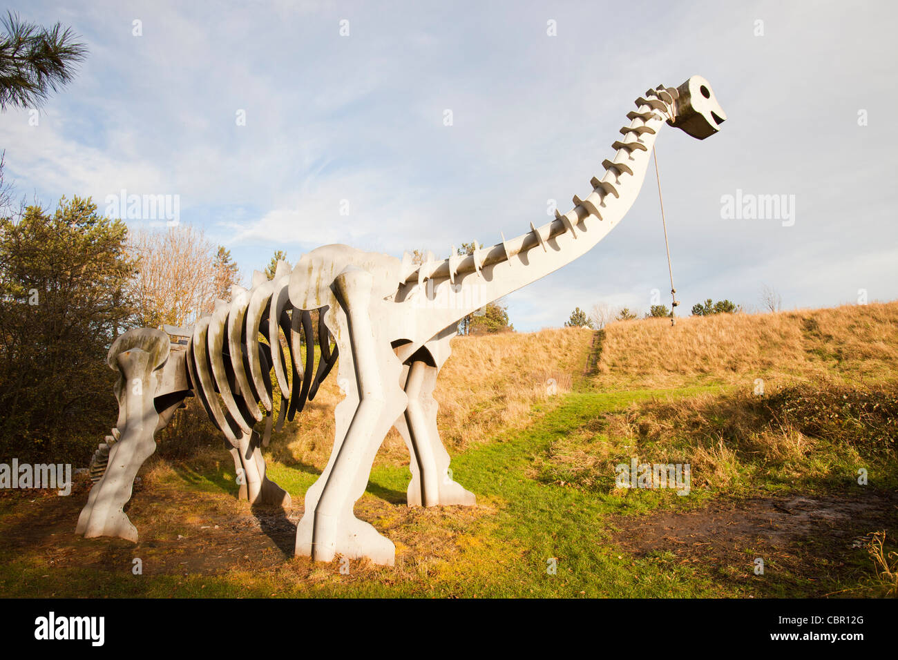 Un Brachiosaurus a Teessaurus Park in Middlesbrough, il Parco dinosauri, a nord-est, UK. Foto Stock