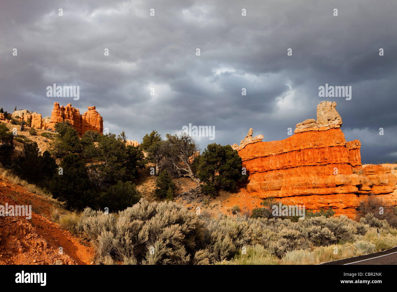 Red Canyon, Dixie National Forest, Utah, Stati Uniti d'America Foto Stock