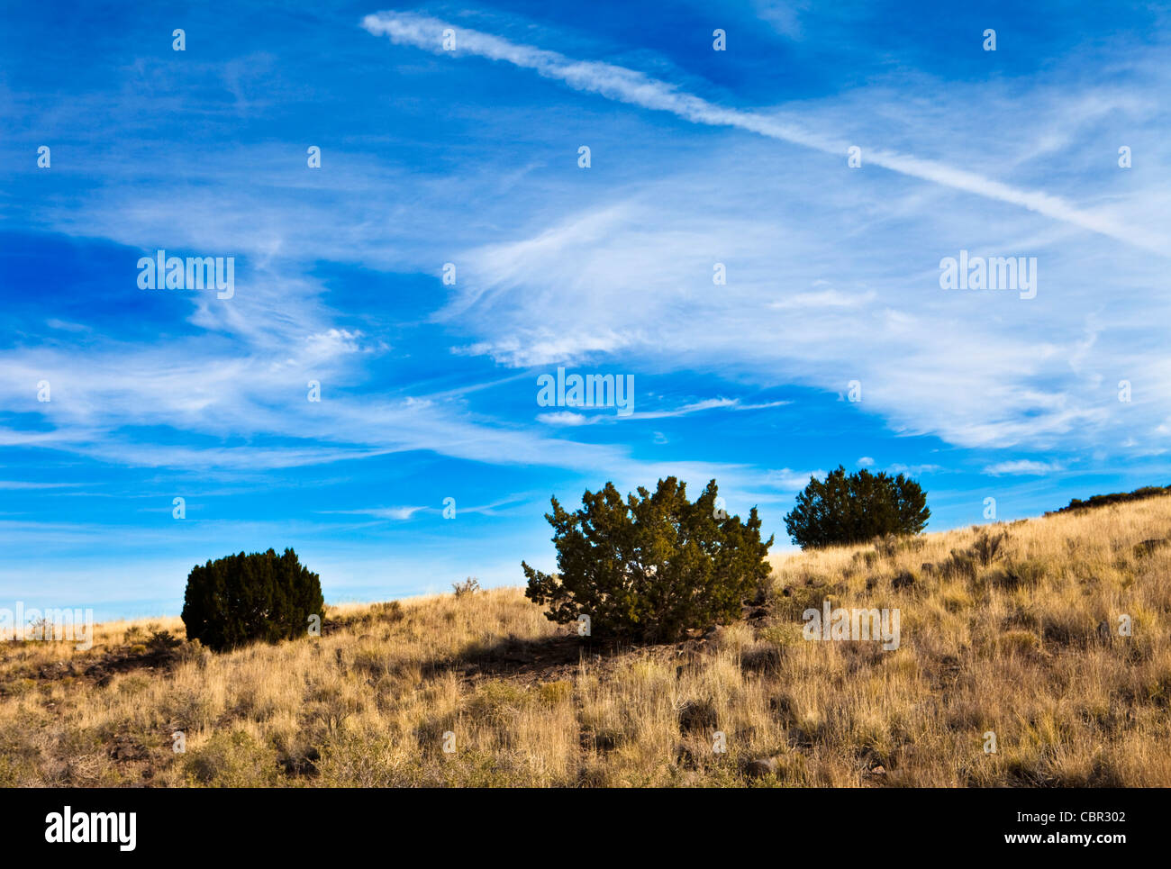 Deserto Dipinto, Wupatki National Monument, Arizona Foto Stock