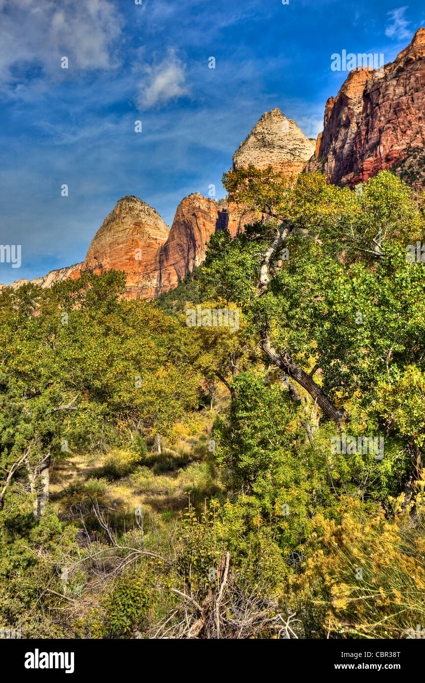 Parco Nazionale di Zion, Utah, Stati Uniti d'America Foto Stock