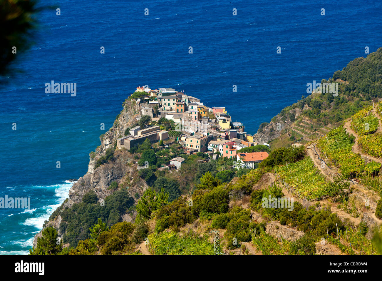 Corniglia, il Parco Nazionale delle Cinque Terre, provincia di La Spezia, Liguria, Nord Italia, Europa Foto Stock