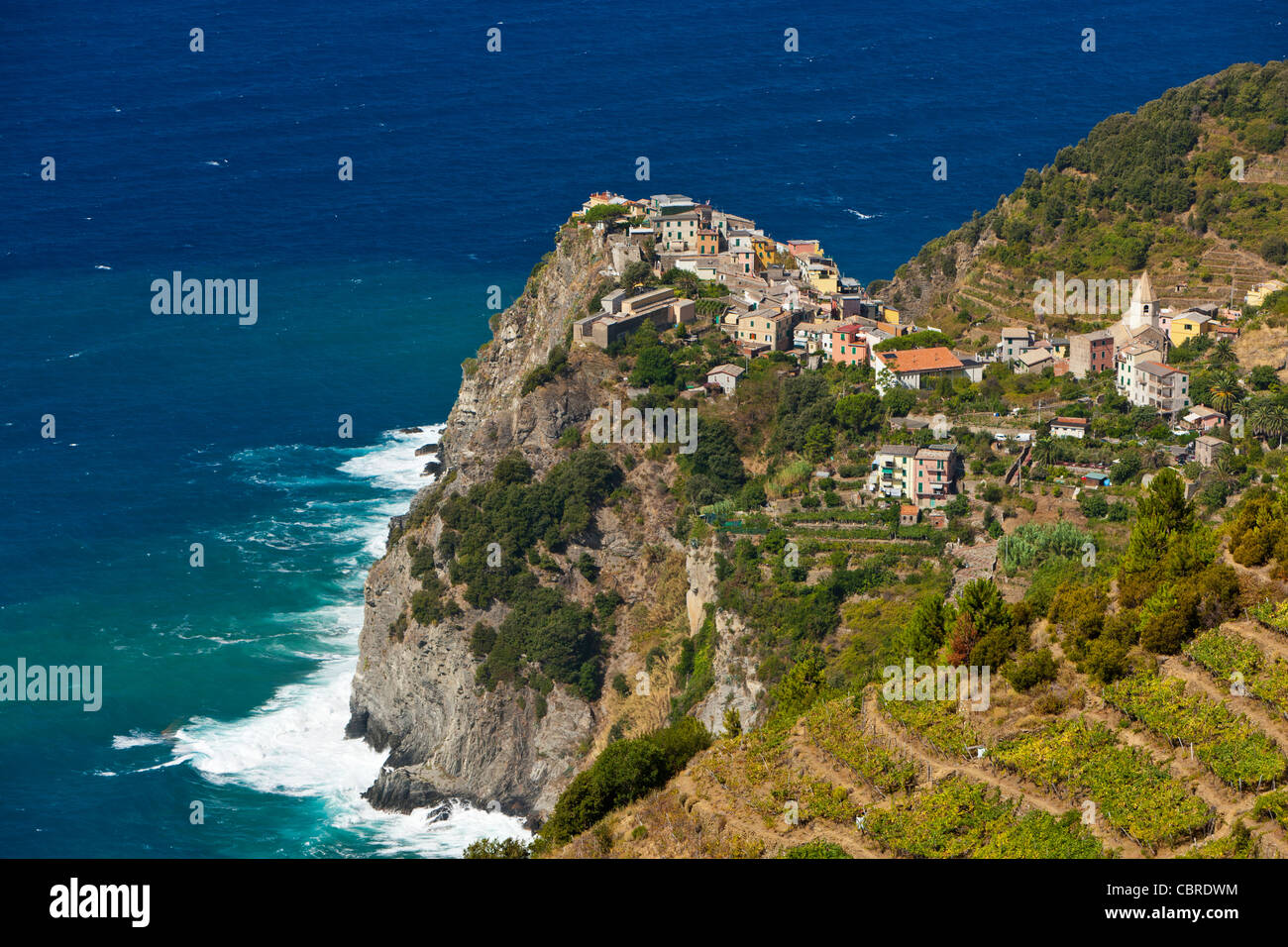 Corniglia, il Parco Nazionale delle Cinque Terre, provincia di La Spezia, Liguria, Nord Italia, Europa Foto Stock