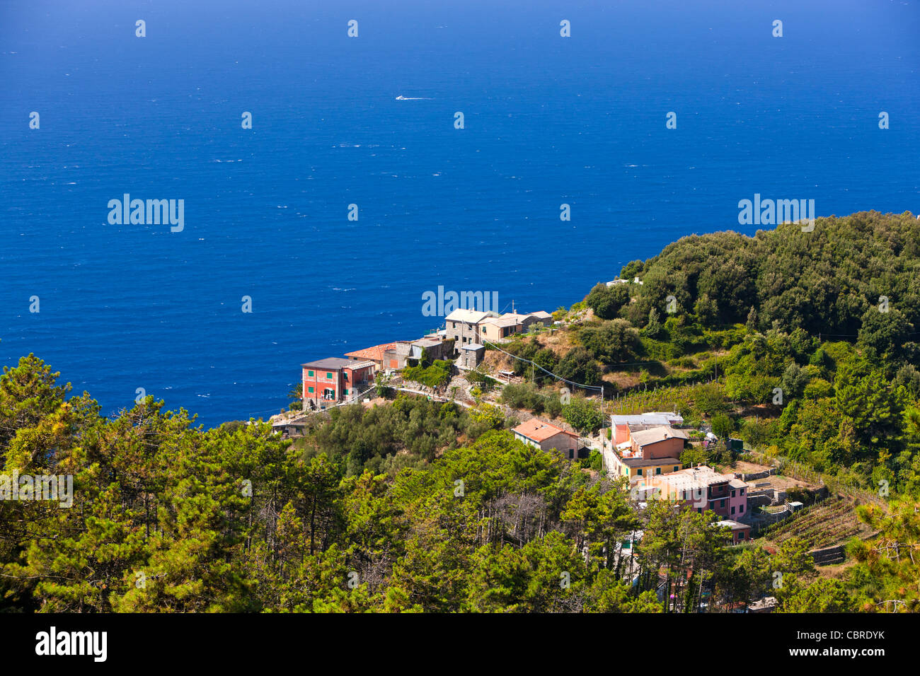 Vista in direzione di Vernazza da Pornacchi, Cinque Terre, provincia di La Spezia, Liguria, Italia, Europa Foto Stock