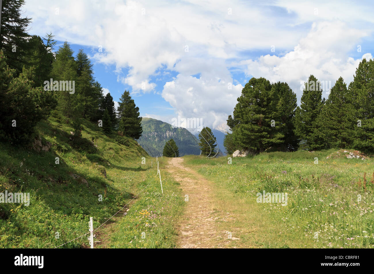 Bellissimo sentiero di montagna in estate nelle Dolomiti italiane Foto Stock