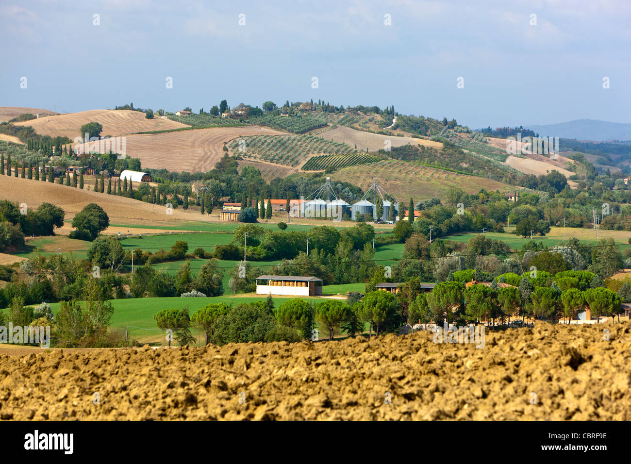 Paesaggio di rotolamento, Val d'Orcia, in provincia di Siena, Toscana, Italia, Europa Foto Stock