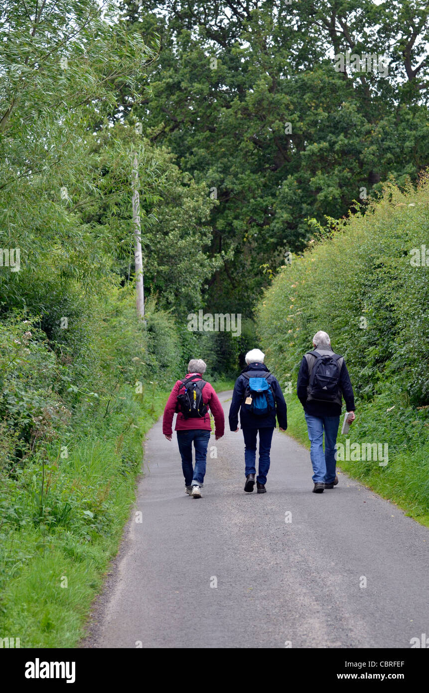 Walkers nel norfolk vicolo del paese Foto Stock