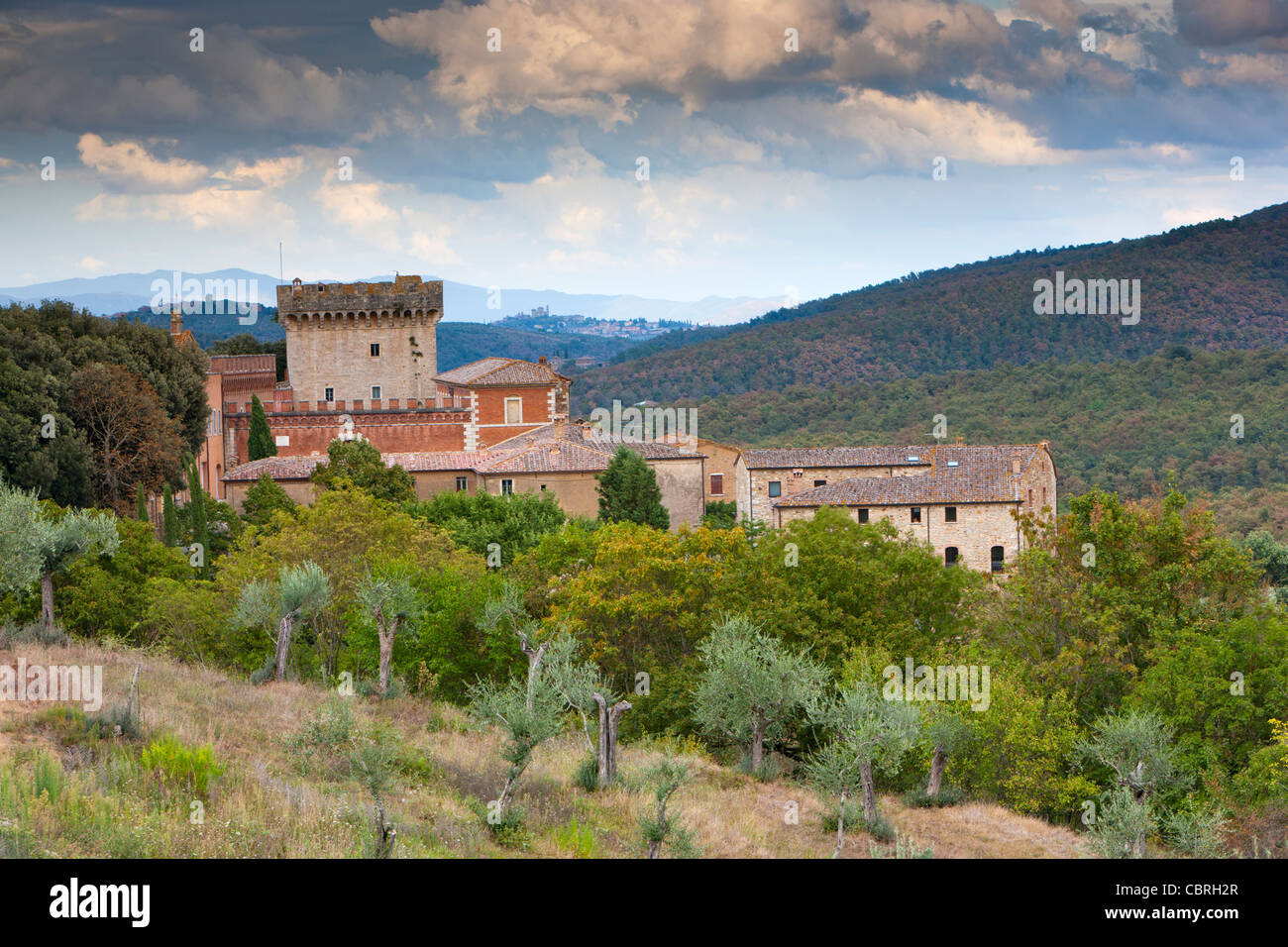 Paesaggio vicino San Gimignanello, provincia di Siena, Toscana, Italia, Europa Foto Stock