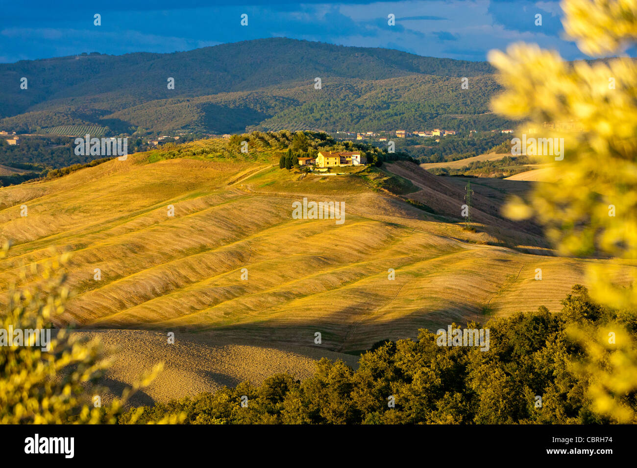 Paesaggio di rotolamento vicino a Asciano, provincia di Siena, Toscana, Italia, Europa Foto Stock