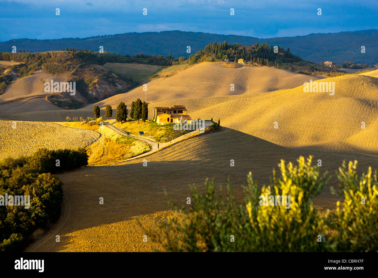 Paesaggio di rotolamento vicino a Asciano, provincia di Siena, Toscana, Italia, Europa Foto Stock