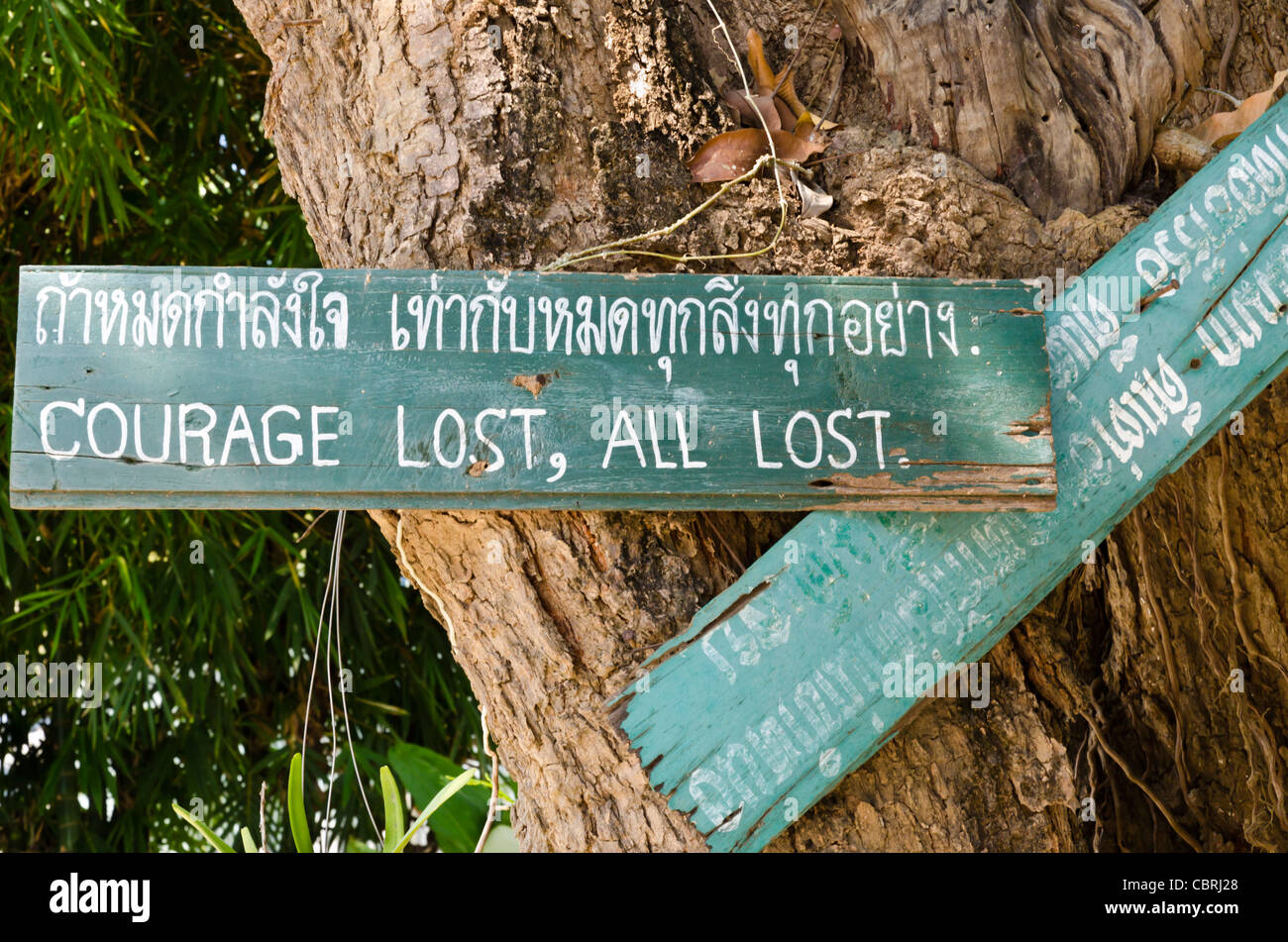 Dipinto a mano segno inchiodato sul tronco di albero dicendo "coraggio perso, tutte perdute' in un tempio buddista in Lamphun Thailandia Foto Stock
