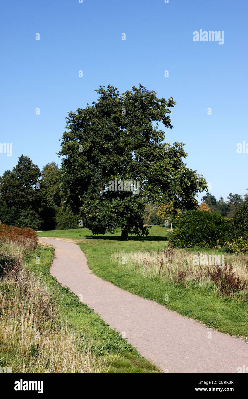 Marchi hall Giardino e arboreto. COGGESHALL ESSEX REGNO UNITO. Foto Stock