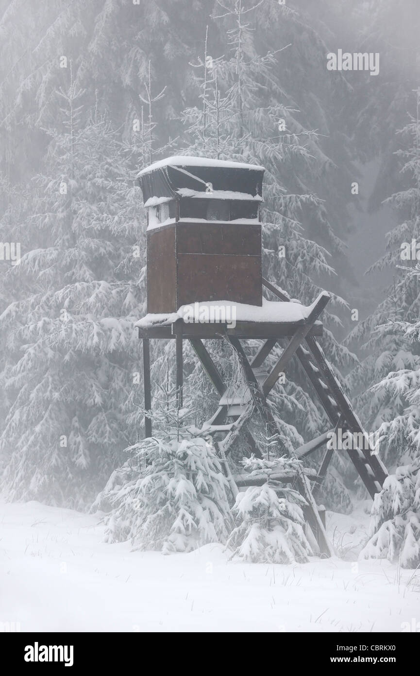 Piedistallo rialzato / nascondi per la caccia di cervi e cinghiali in foresta nella neve in inverno, Ardenne, Belgio Foto Stock