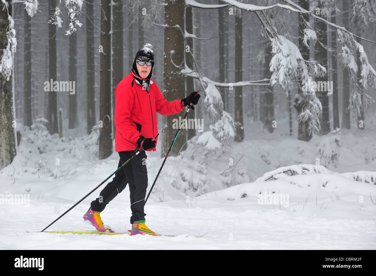 Nordic sci di fondo / langlauf in inverno nella neve a riserva naturale Hautes Fagnes / Hautes Fagnes, Belgio Foto Stock