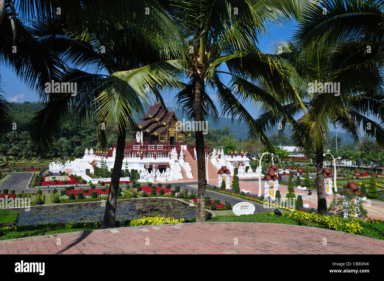 Palme di cocco sulla collina con gli ornati Royal Pavilion in background a Royal Flora Ratchaphruek in Chiang Mai Thailandia Foto Stock