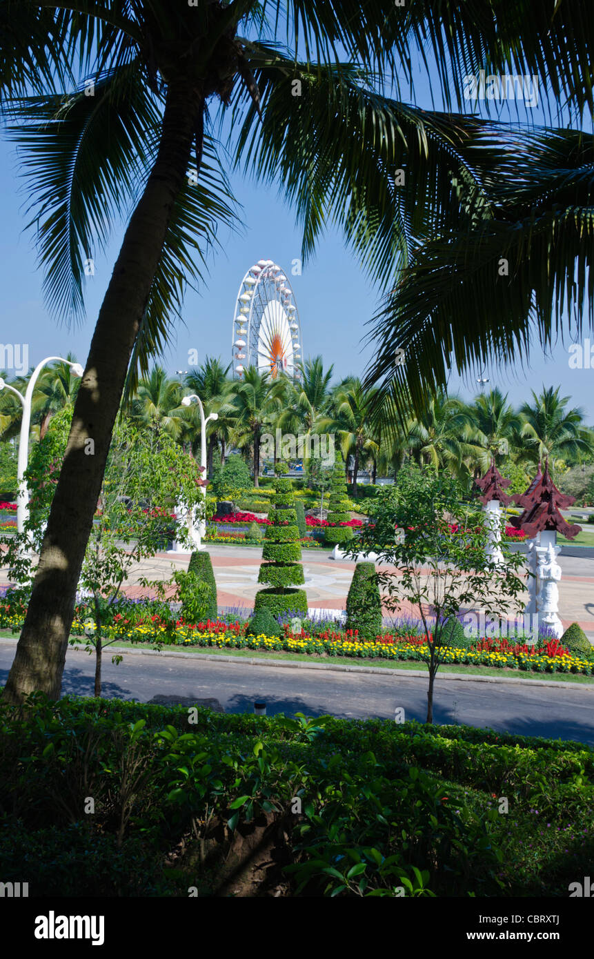 Coconut Palm tree con paesaggistici piante e grande ruota panoramica Ferris in background a Royal Flora Ratchaphruek in Chiang Mai Thailandia Foto Stock