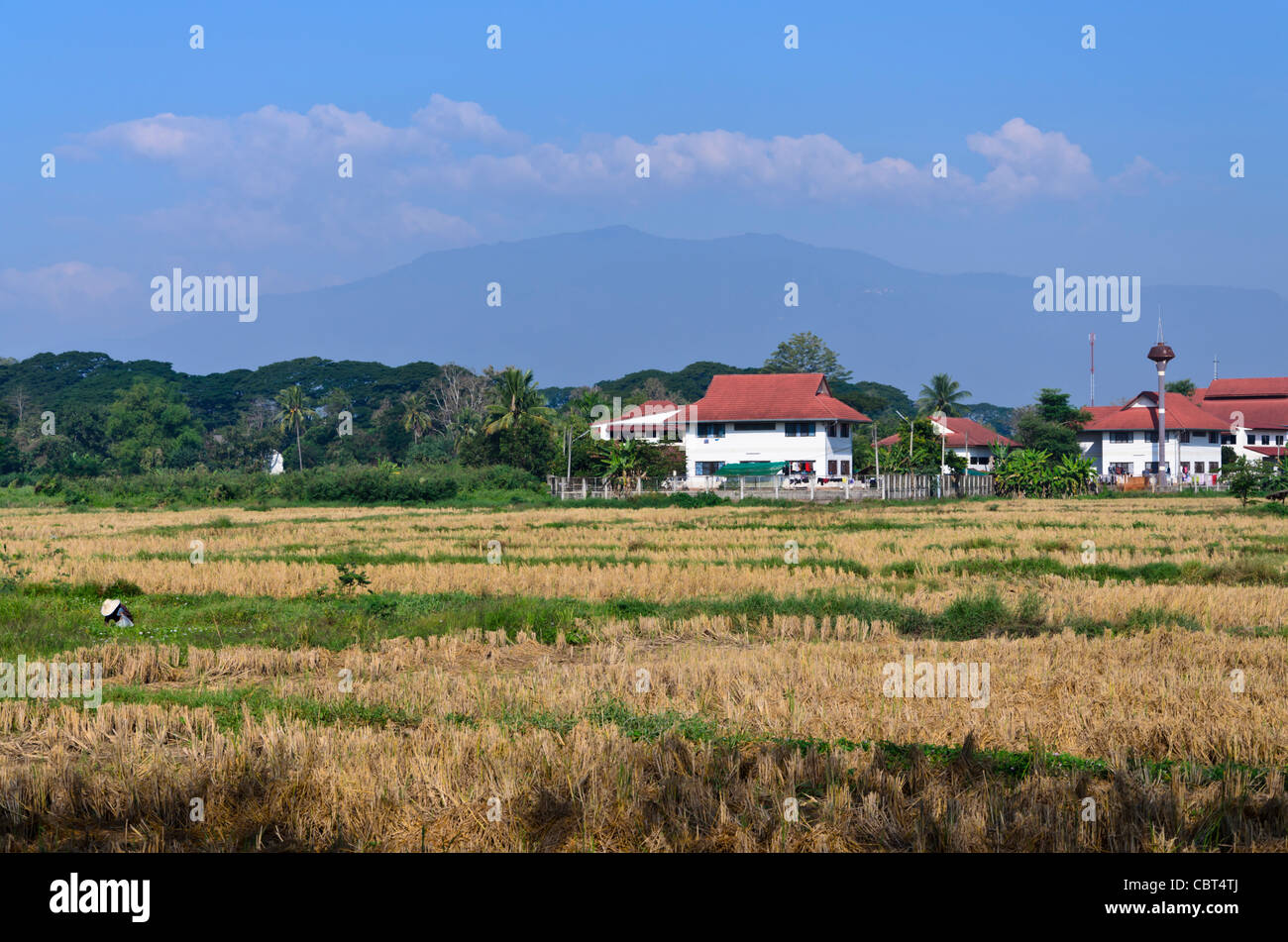 Contadino con grande hat lavora sul campo con grandi case e Doi Suthep montagna sullo sfondo a sud di Chiang Mai Thailandia Foto Stock