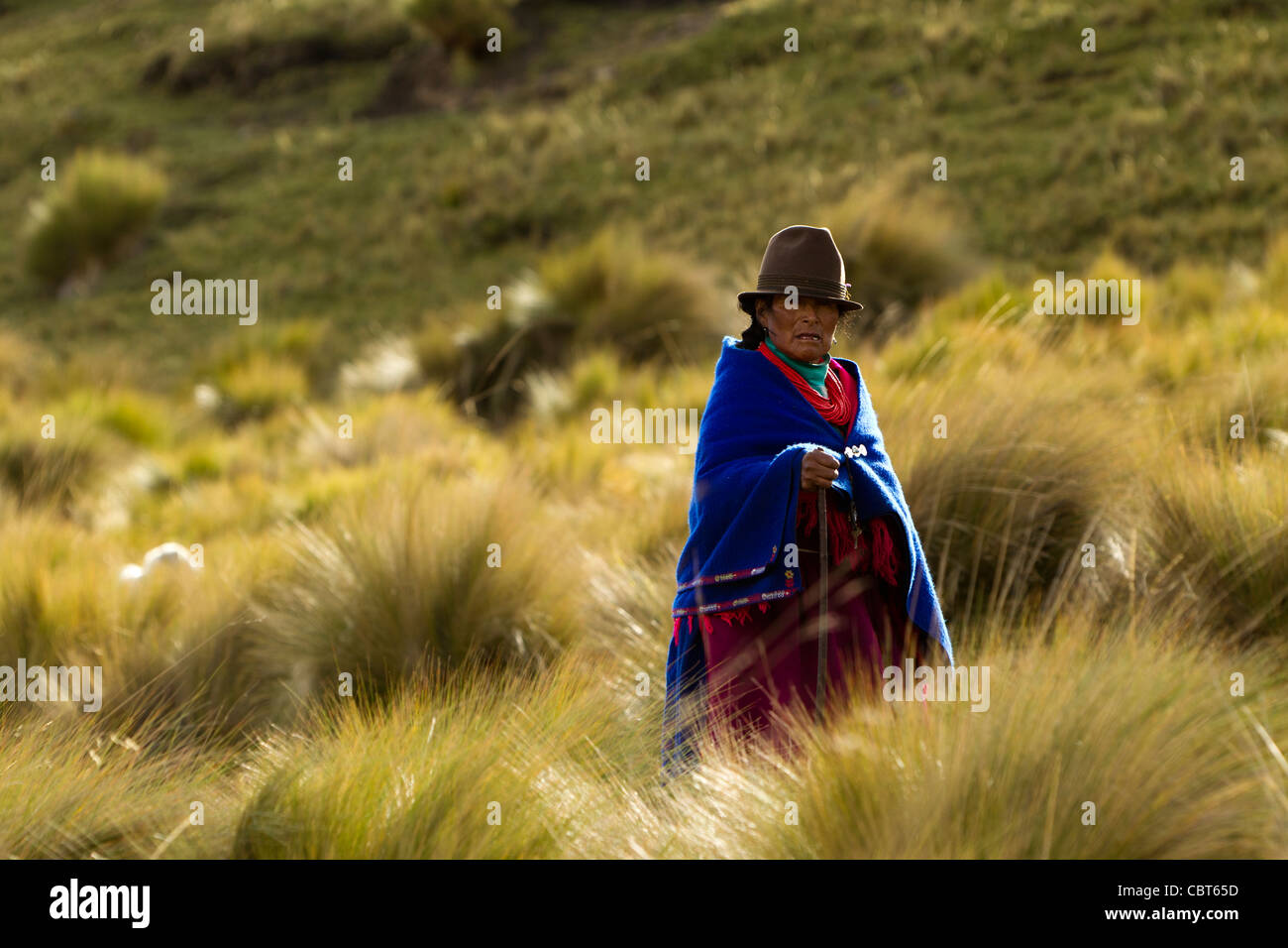 Contadino andina vestito in abiti tradizionali di questa regione è  circondato dalla tipica vegetazione alpina Foto stock - Alamy