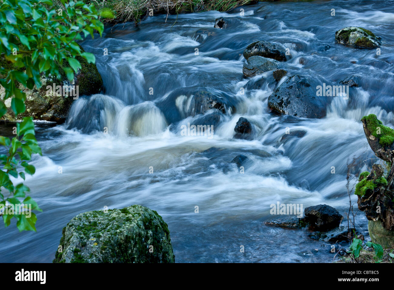 Veloce che scorre acqua bianca con rocce in un fiume vicino a Glen Clova in Scozia Foto Stock