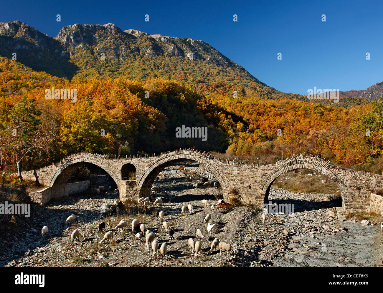 Il triple- arcuato, un antico ponte in pietra, vicino a Kaloutas (o 'Kalouta') village, regione di Zagori Ioannina,, Epiro, Grecia Foto Stock