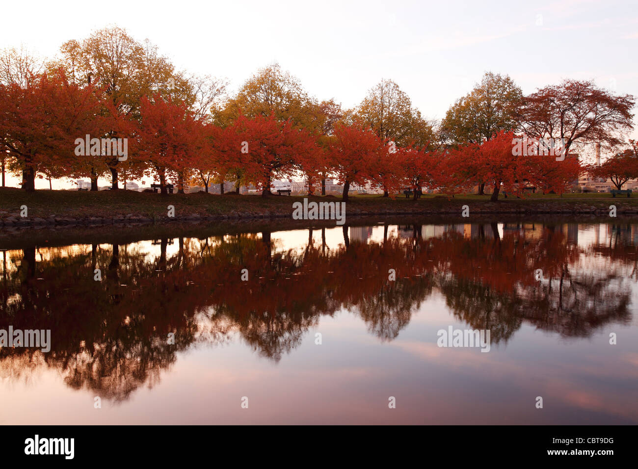Riflessioni, fogliame di autunno sulla spianata di Boston, Massachusetts Foto Stock