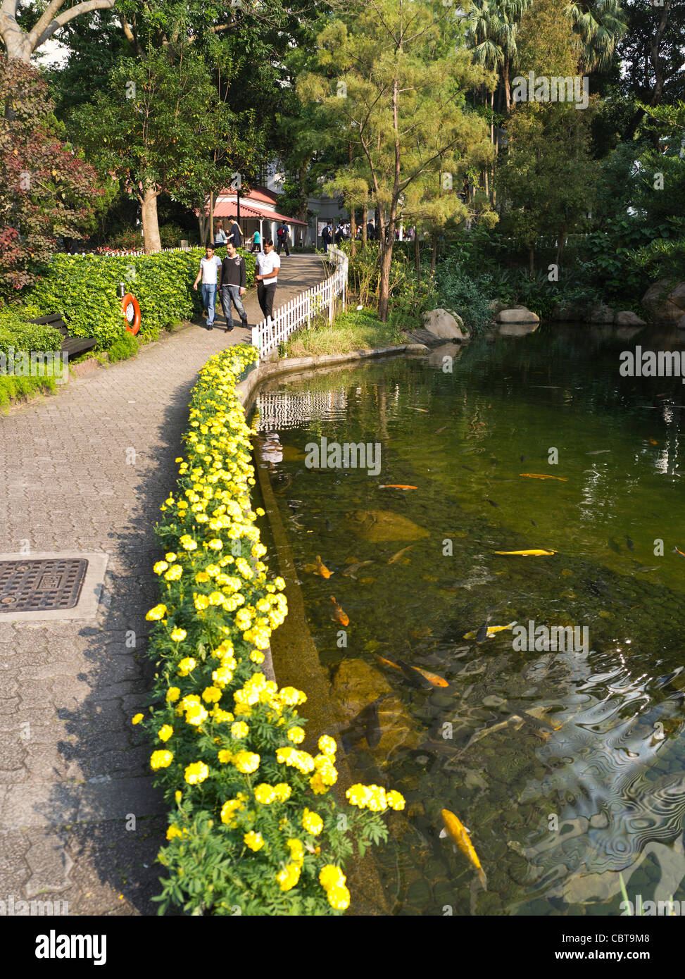 Dh Hong Kong Park Central Hong Kong la gente camminare nel parco lago carpa laghetto stagni Foto Stock