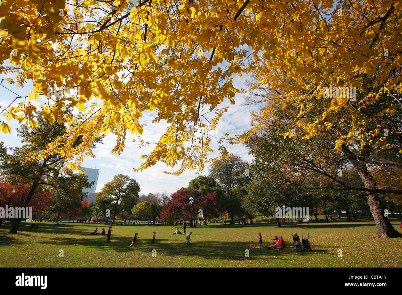 Il fogliame di autunno, Boston Common, Boston, Massachusetts Foto Stock