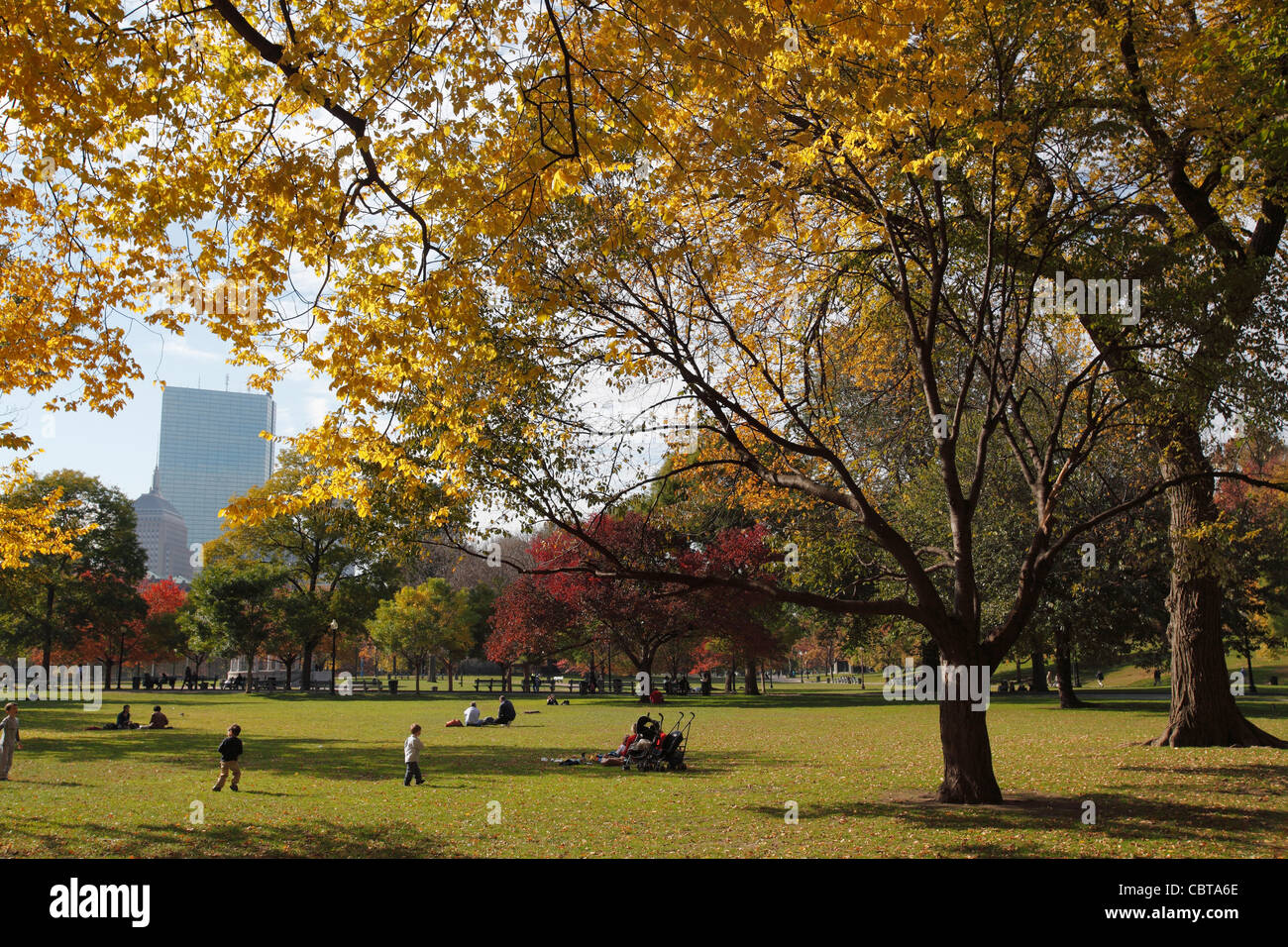 Il fogliame di autunno, Boston Common, Boston, Massachusetts Foto Stock