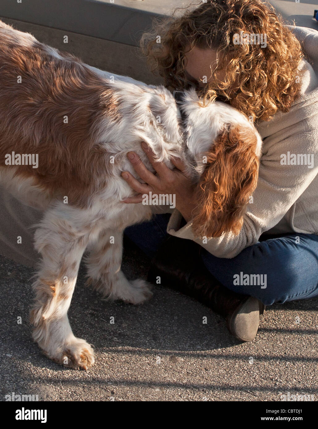 Una donna e suo Welsh Springer Spaniel condividono simili colore dei capelli. Foto Stock