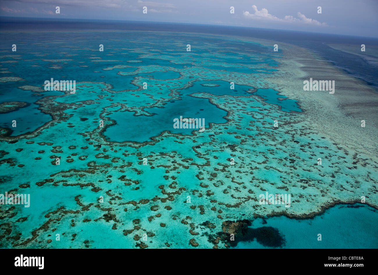 Vedute aeree del bel cuore Reef in la spettacolare grande barriera corallina vicino alle Isole Whitsunday nel Queensland, in Australia. Foto Stock