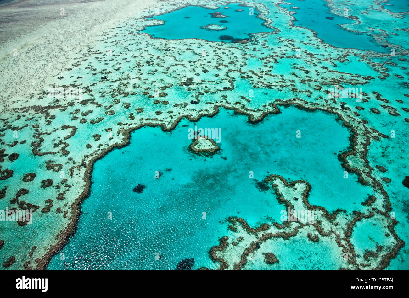 Vedute aeree del bel cuore Reef in la spettacolare grande barriera corallina vicino alle Isole Whitsunday nel Queensland, in Australia. Foto Stock