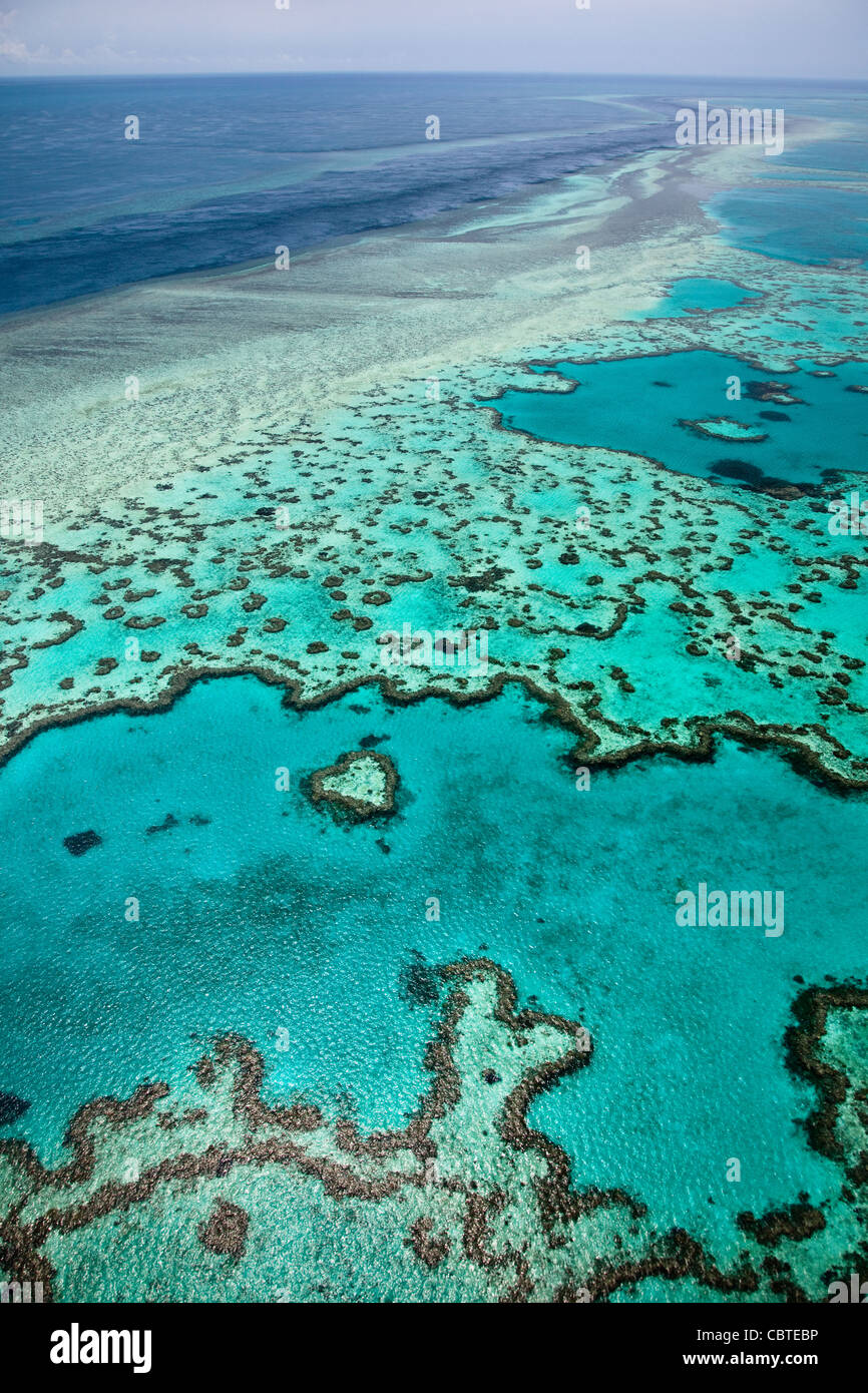Vedute aeree del bel cuore Reef in la spettacolare grande barriera corallina vicino alle Isole Whitsunday nel Queensland, in Australia. Foto Stock