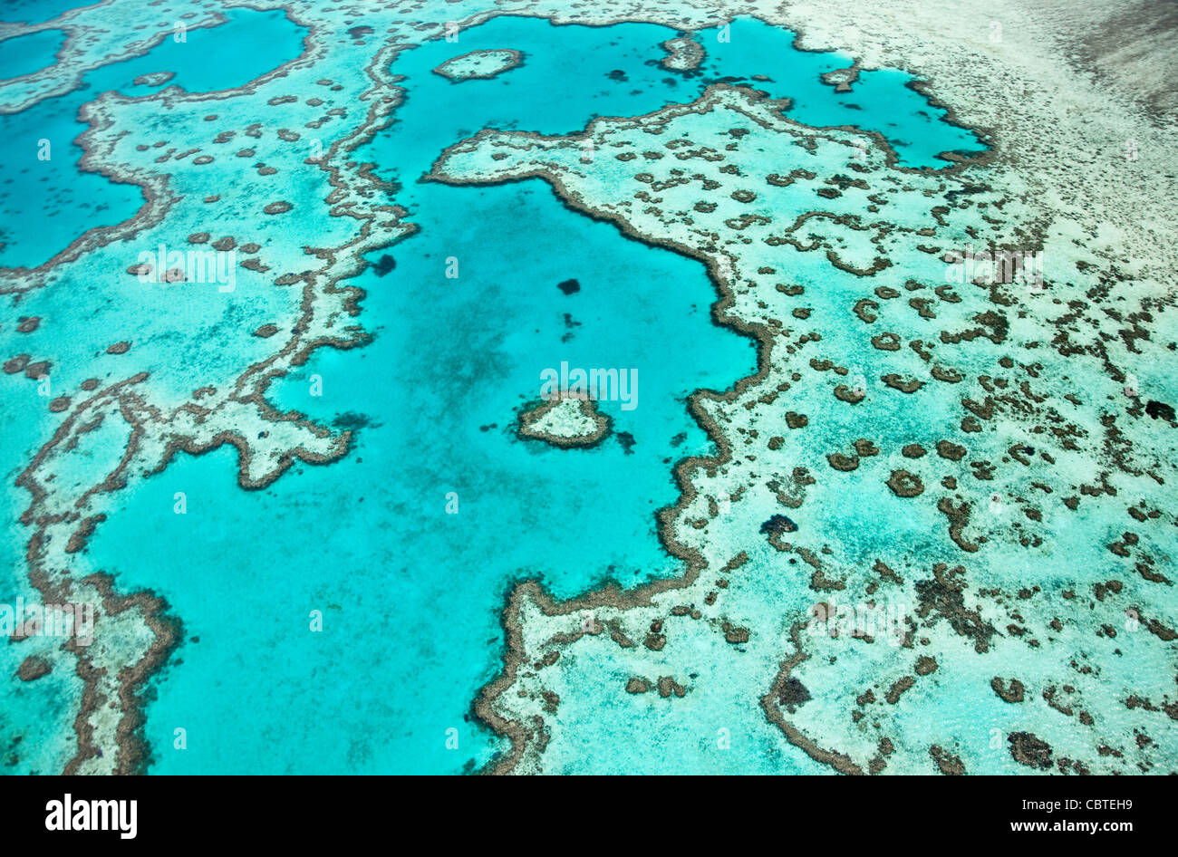 Vedute aeree del bel cuore Reef in la spettacolare grande barriera corallina vicino alle Isole Whitsunday nel Queensland, in Australia. Foto Stock
