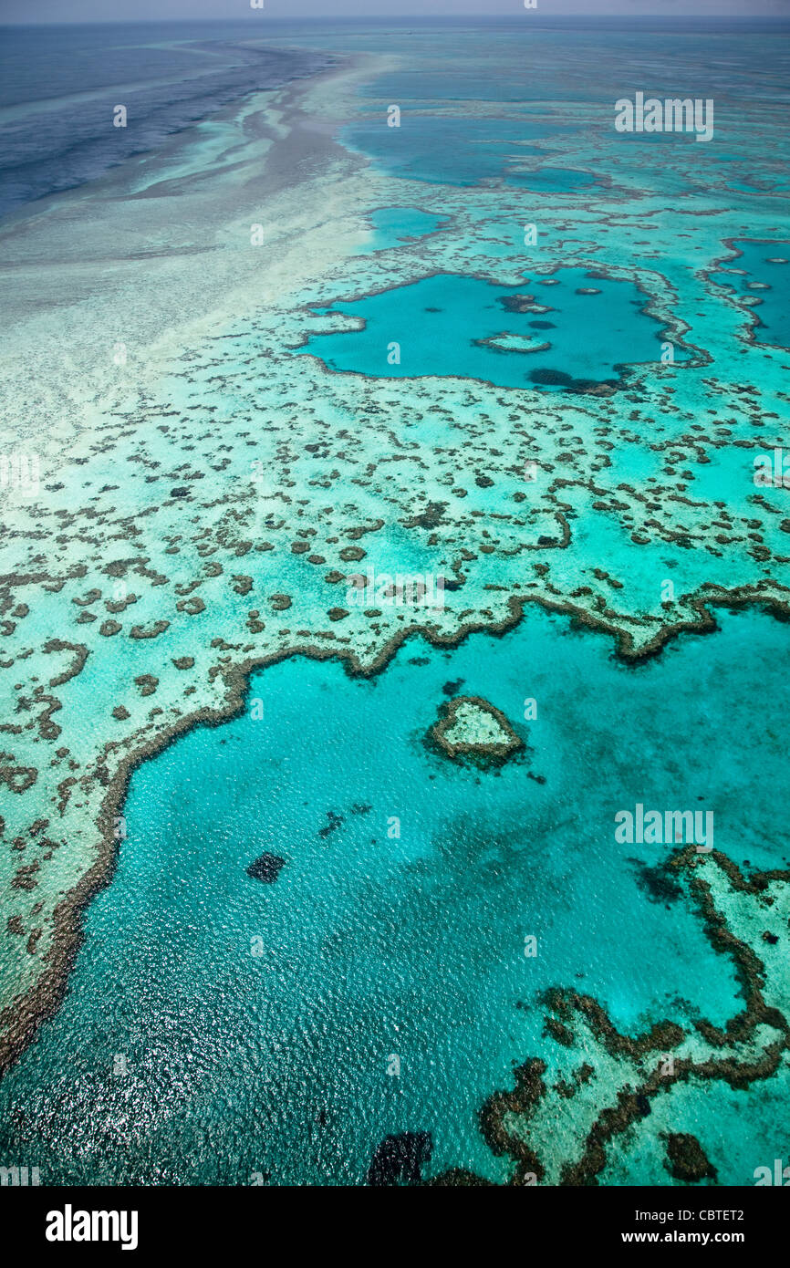 Vedute aeree del bel cuore Reef in la spettacolare grande barriera corallina vicino alle Isole Whitsunday nel Queensland, in Australia. Foto Stock