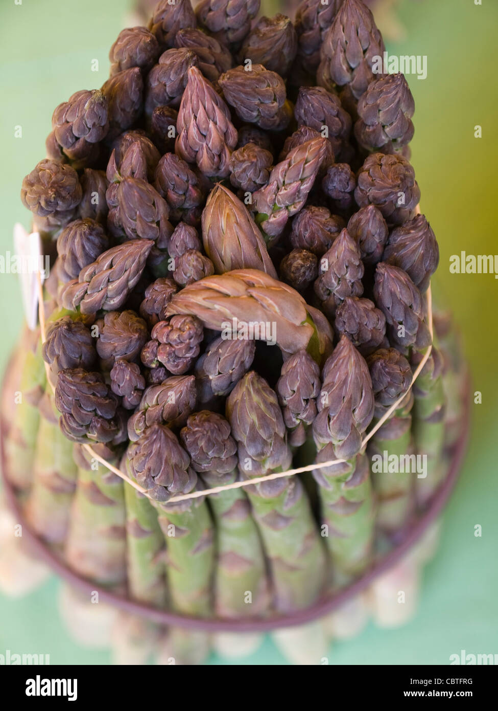 In prossimità delle punte di asparagi Foto Stock