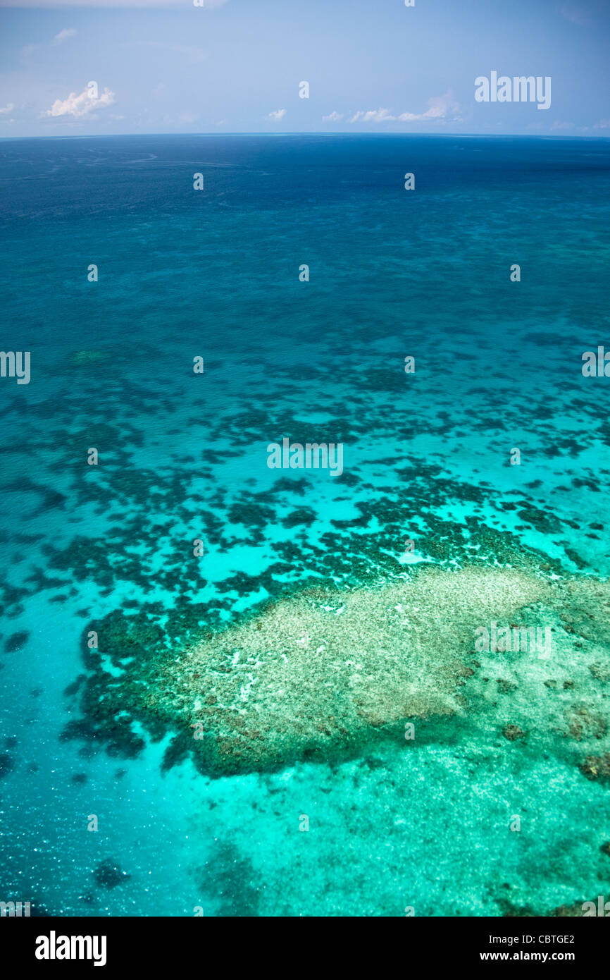 Vedute aeree di la spettacolare grande barriera corallina vicino alle Isole Whitsunday nel Queensland, in Australia. Foto Stock