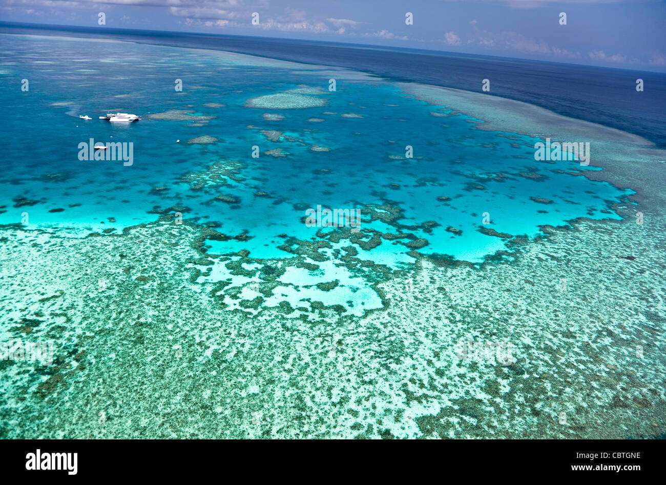 Vedute aeree della splendida barriera corallina del fuso a snodo, off isole Whitsunday, Queensland, Australia. Foto Stock