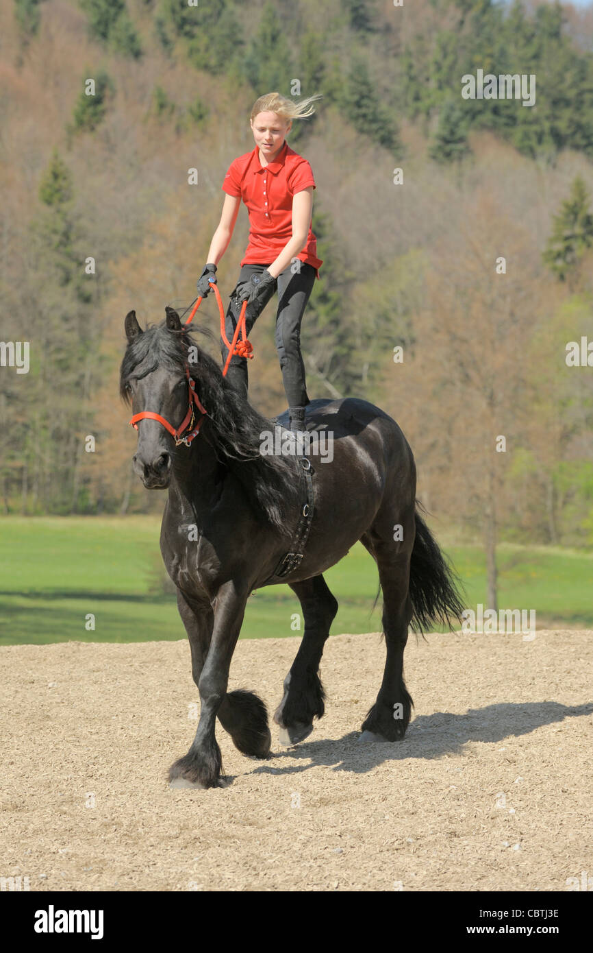 Ragazza in piedi sul retro di una camminata cavallo Frisone Foto Stock