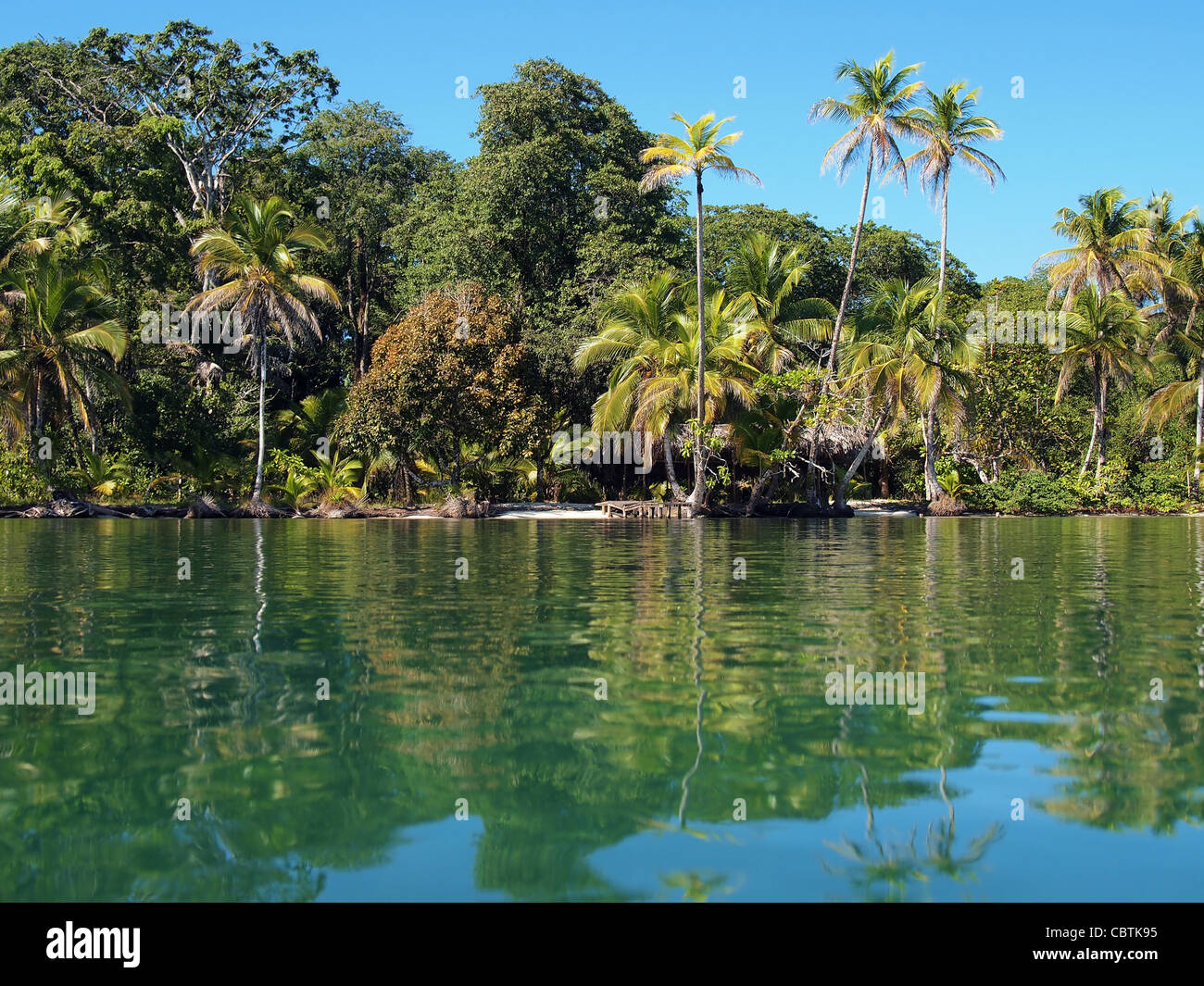 Costa Tropicale con vegetazione lussureggiante visto dalla superficie dell' acqua del mare dei Caraibi, Panama America Centrale Foto Stock