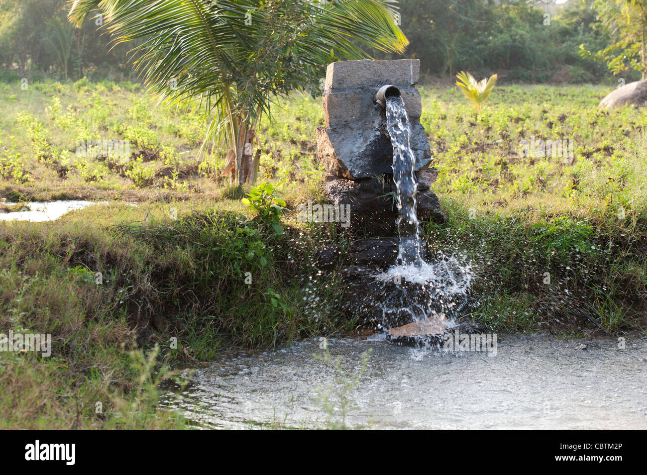 Pompaggio di acqua nella campagna indiana per impianto di irrigazione di raccolto. Andhra Pradesh, India Foto Stock