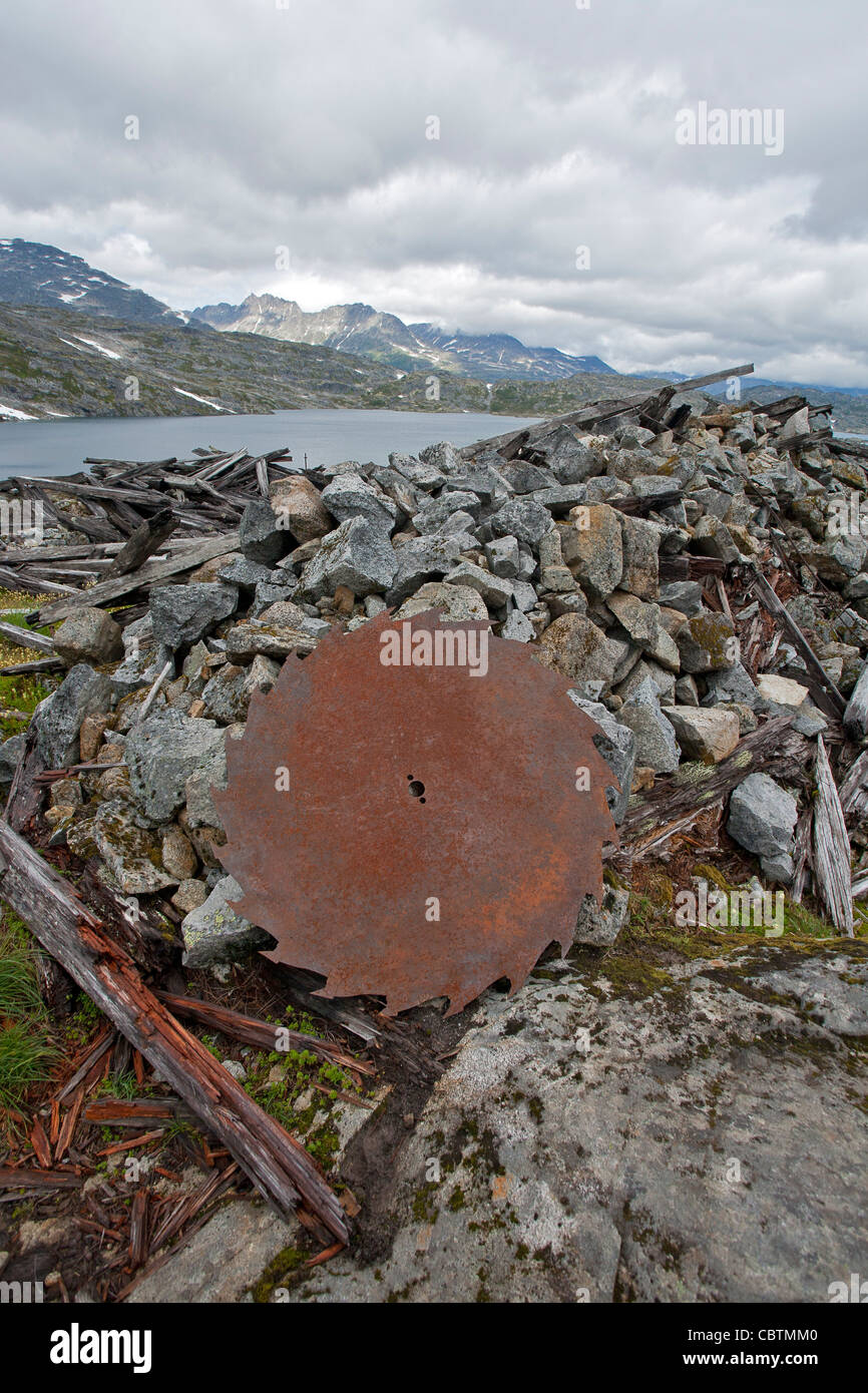 Vecchio chainsaw. Chilkoot Trail. British Columbia. Canada Foto Stock