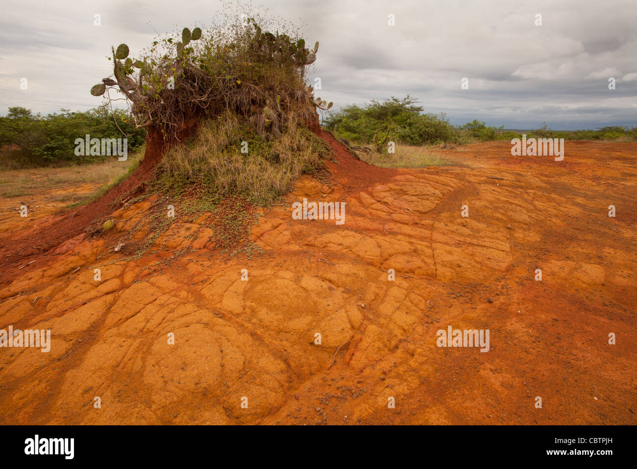 Suoli erosi in Sarigua national park (deserto) in Herrera provincia, Repubblica di Panama. Foto Stock