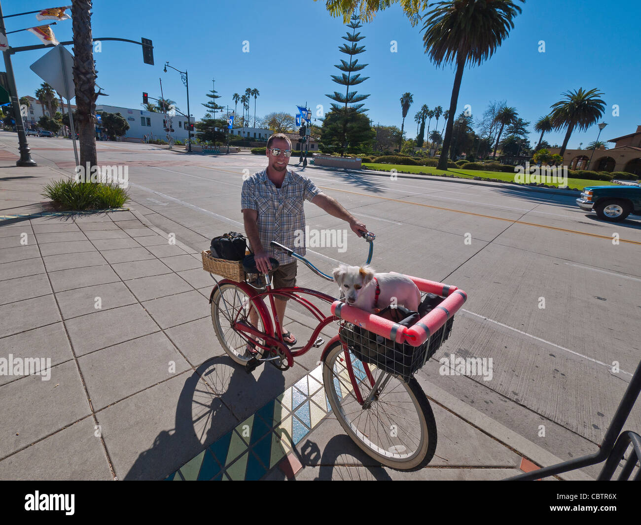 Un giovane adulto accompagna la sua beach cruiser bike con il suo piccolo cane nel cestello anteriore su State Street a Santa Barbara, California. Foto Stock