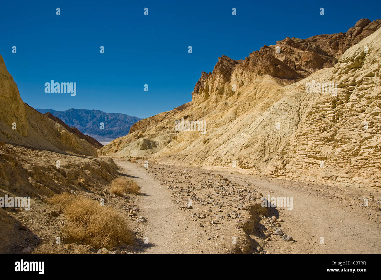 Golden Canyon, il Parco Nazionale della Valle della Morte, STATI UNITI D'AMERICA Foto Stock