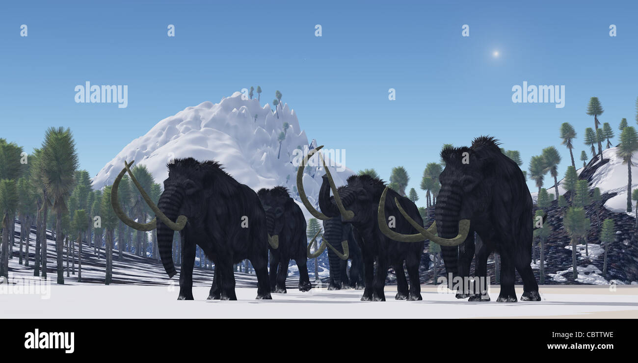 Una mandria di mammut lanosi migrare a un clima più caldo nel Pleistocene Superiore età. Foto Stock